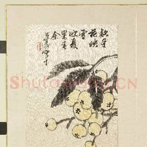 清.胡远山水花卉册枇杷.赠画|1幅|11.67 MB|高清下载