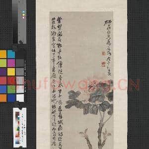 民国陈衡恪牡丹 轴|1幅|7.94 MB|高清下载