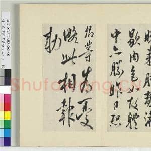 清王澍书积书岩帖(二十七)册 临唐太宗北边帖等三帖|3幅|36.04 MB|高清下载