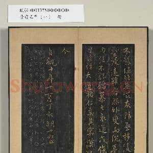 晋唐正书(一)册 唐虞世南书汝南公主墓志|3幅|26.84 MB|高清下载