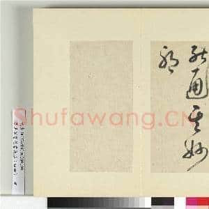 清王澍书积书岩帖(四十四)册 临张旭率意帖|2幅|24.47 MB|高清下载