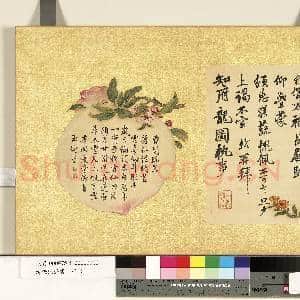 清张照杂书 册 临苏轼尺牍|1幅|12.12 MB|高清下载