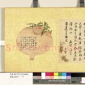 清张照杂书 册 书七言诗|1幅|11.67 MB|高清下载