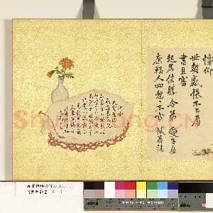 清张照杂书 册 临苏轼尺牍|1幅|11.66 MB|高清下载
