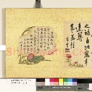 清张照杂书 册 临米芾尺牍|1幅|11.69 MB|高清下载