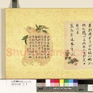 清张照杂书 册 临米芾尺牍|1幅|11.71 MB|高清下载