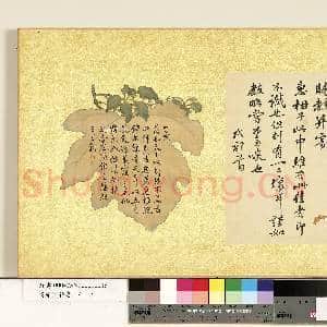 清张照杂书 册 临苏轼尺牍|1幅|11.73 MB|高清下载