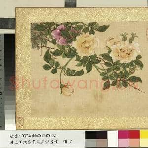 清王图炳春景花卉诗画册 册 蔷薇|1幅|11.86 MB|高清下载