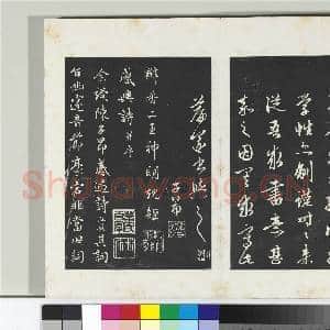 三希堂法帖(二十)册 元赵孟俯书道场山诗并记|2幅|20.93 MB|高清下载
