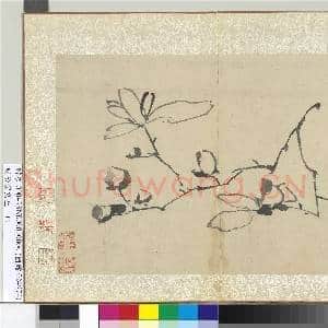 明徐渭写生册 册 水墨画辛夷|1幅|12.42 MB|高清下载
