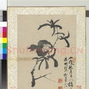 明徐渭写生册 册 水墨直幅画石榴|1幅|12.51 MB|高清下载