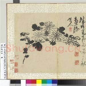 明徐渭写生册 册 水墨画菊|1幅|12.78 MB|高清下载