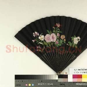 清倪承宽书米芾十纸说帖清人画花卉 成扇|5幅|33.28 MB|高清下载