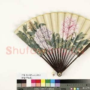 清人花卉 成扇|5幅|39.53 MB|高清下载