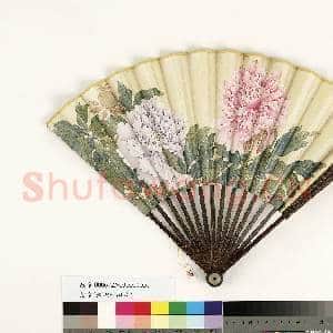 清人花卉 成扇|5幅|42.4 MB|高清下载