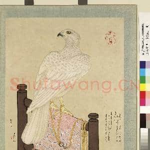 清冯宁画羾琛貌俊  册 白鹰|2幅|20.99 MB|高清下载