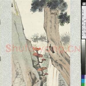 民国赵叔孺百龄上寿 轴|3幅|32.98 MB|高清下载