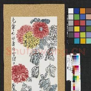 民国齐白石菊花图 镜片|1幅|10.08 MB|高清下载