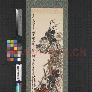 民国吴昌硕红白菊 轴|1幅|8.59 MB|高清下载