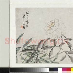 清吴熙载花卉册 册 芍药|1幅|9.18 MB|高清下载