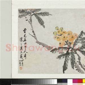 清吴熙载花卉册 册 枇杷|1幅|9.2 MB|高清下载