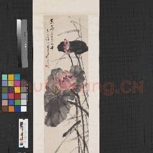 民国王震荷花 轴|1幅|6.83 MB|高清下载