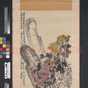 民国吴昌硕菊花双石 轴|1幅|8.55 MB|高清下载