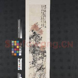 清吴昌硕花卉四屏 轴 牡丹|1幅|6.93 MB|高清下载