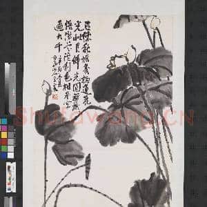 民国王震荷花 轴|1幅|7.44 MB|高清下载