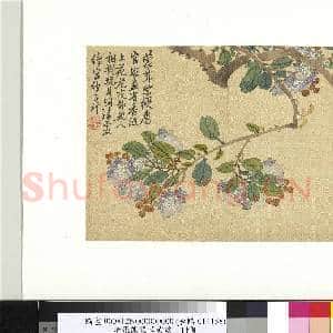 清张熊蒙茸紫绶 册页|2幅|19.35 MB|高清下载