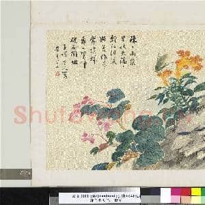 清张熊秋花 册页|1幅|11.39 MB|高清下载