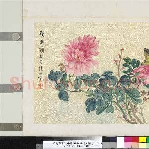 清张熊牡丹蝴蝶 册页|1幅|11.28 MB|高清下载