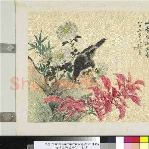 清张熊篱落秋芳 册页|1幅|12 MB|高清下载