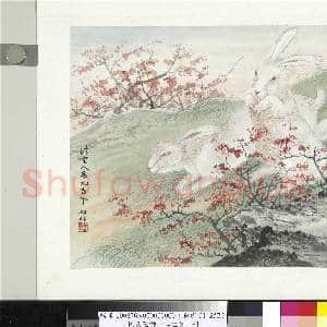 民国合作十二生肖 册 陆翀画兔图|1幅|10.63 MB|高清下载