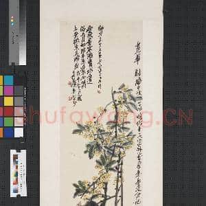 民国吴昌硕桂花 轴|1幅|7.82 MB|高清下载