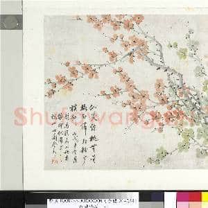 清金斓梅花 册 临马扶羲小册|2幅|17.7 MB|高清下载