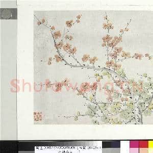 清金斓梅花 册 疏甚枝条艳是花|1幅|9.05 MB|高清下载
