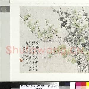 清金斓梅花 册 蛎粉影遮云过处|1幅|9.36 MB|高清下载