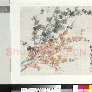 清金斓梅花 册 莫将香色论梅花|1幅|9.1 MB|高清下载