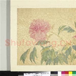 清张熊花卉册 册 牡丹|1幅|10.98 MB|高清下载