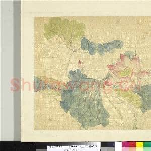 清张熊花卉册 册 荷花|1幅|10.93 MB|高清下载