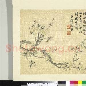 清张熊花卉册 册 梅|1幅|11.28 MB|高清下载