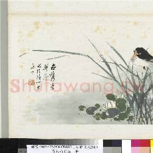 清朱偁花鸟册 册 莲花燕子|1幅|9.1 MB|高清下载
