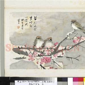 清朱偁花鸟册 册 梅花麻雀|1幅|9.24 MB|高清下载