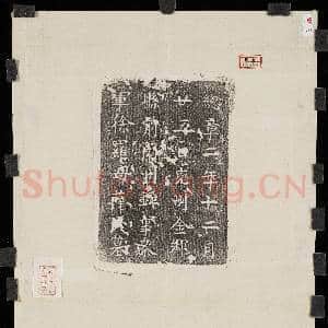 唐兖州金乡县前兰州录事参军徐罗母薛氏墓版文墨拓本|1幅|9.98 MB|高清下载