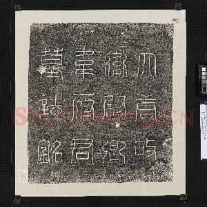 唐故卫尉卿韦府君墓志铭篆盖墨拓本|1幅|12.17 MB|高清下载