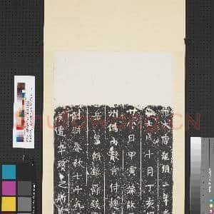 唐故西州伪内散常侍曲善岳墓志铭墨拓本 轴|1幅|9.49 MB|高清下载