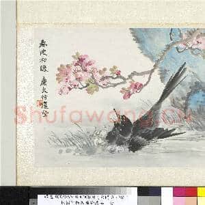 清陆恢动植物逸品册 册 春波初暖|2幅|20.34 MB|高清下载