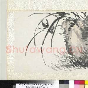 清陆恢动植物逸品册 册 兰草|1幅|10.32 MB|高清下载