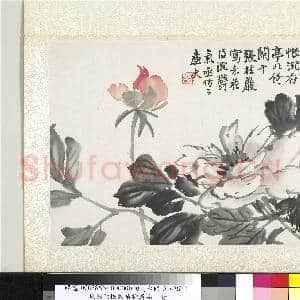清陆恢动植物逸品册 册 莲荷|1幅|10.15 MB|高清下载